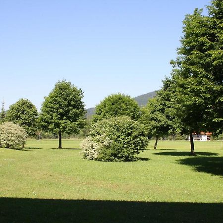 Chiemgau Appartements Inzell Εξωτερικό φωτογραφία